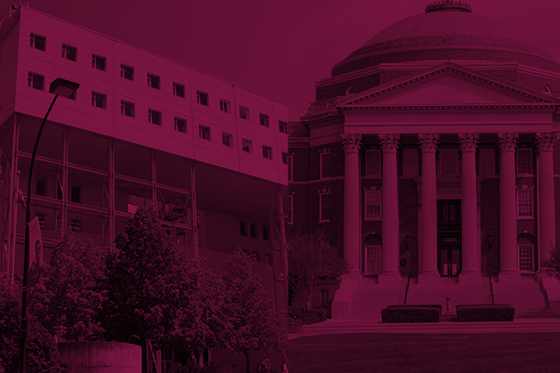 Master’s in International Arts Management
